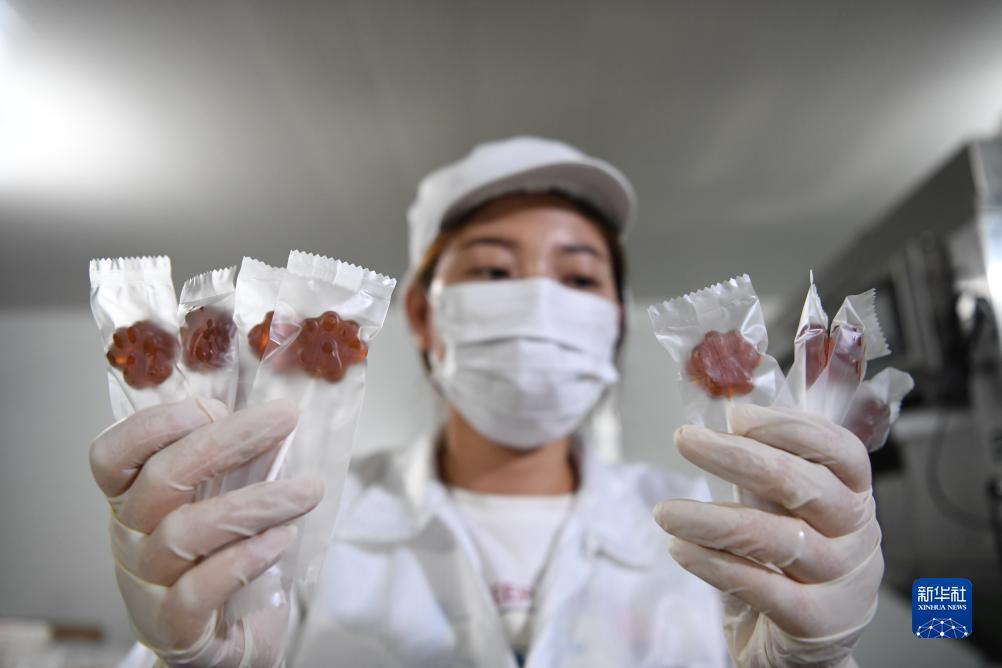 澳门十三弟网址是多少